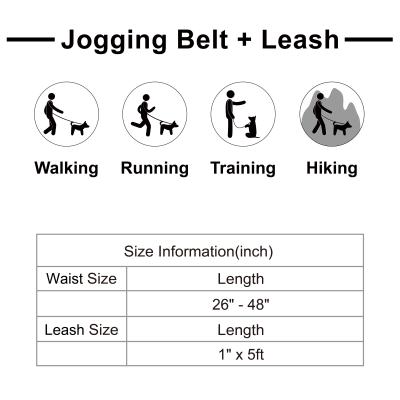 Reflective jogging belt w/reflective nylon bungee leash