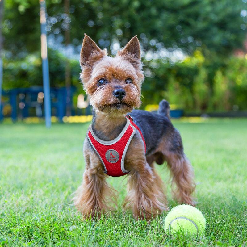 Mesh Reflective Piping Harness