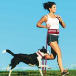 Reflective jogging belt w/reflective nylon bungee leash