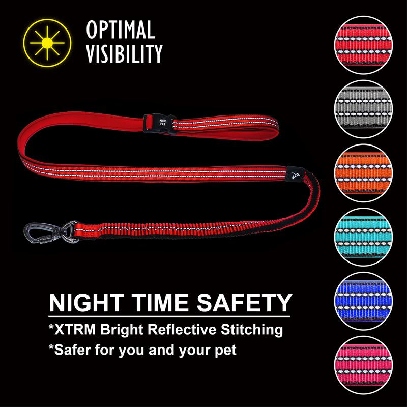 VARIO NYLON Easy Snap™ BUNGEE Leash w/ Click and Lock Snap Hook - 6ft