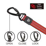 VARIO NYLON LEASH W/ Click and Lock Snap Hook -4ft