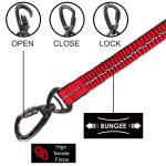 VARIO NYLON Easy Snap™ BUNGEE Leash w/ Click and Lock Snap Hook - 6ft