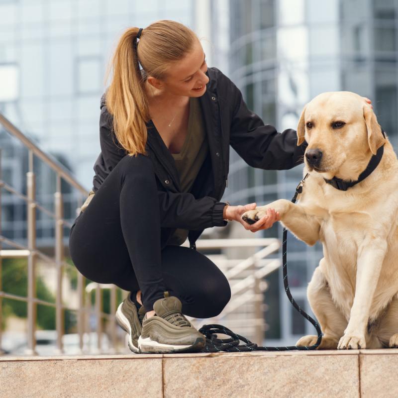 The Benefits of Investing in High-Quality Dog Apparel