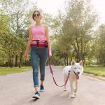 Reflective jogging belt w/reflective nylon bungee leash