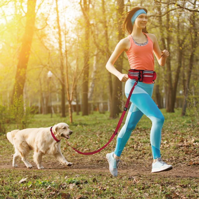 Reflective jogging belt w/reflective nylon bungee leash