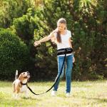 Reflective jogging belt w/reflective nylon bungee leash