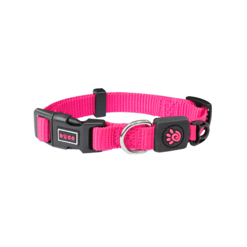Signature Nylon Dog Collar